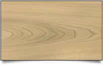Elm